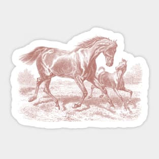 A Mare with a Foal - Horse Illustration Sticker